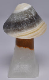 ARAGONITE MUSHROOM CARVING P832