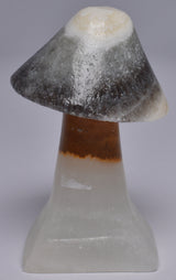 ARAGONITE MUSHROOM CARVING P832