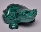 MALACHITE CRYSTAL FROG CARVING P843