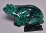 MALACHITE CRYSTAL FROG CARVING P843