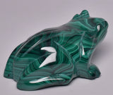 MALACHITE CRYSTAL FROG CARVING P1060