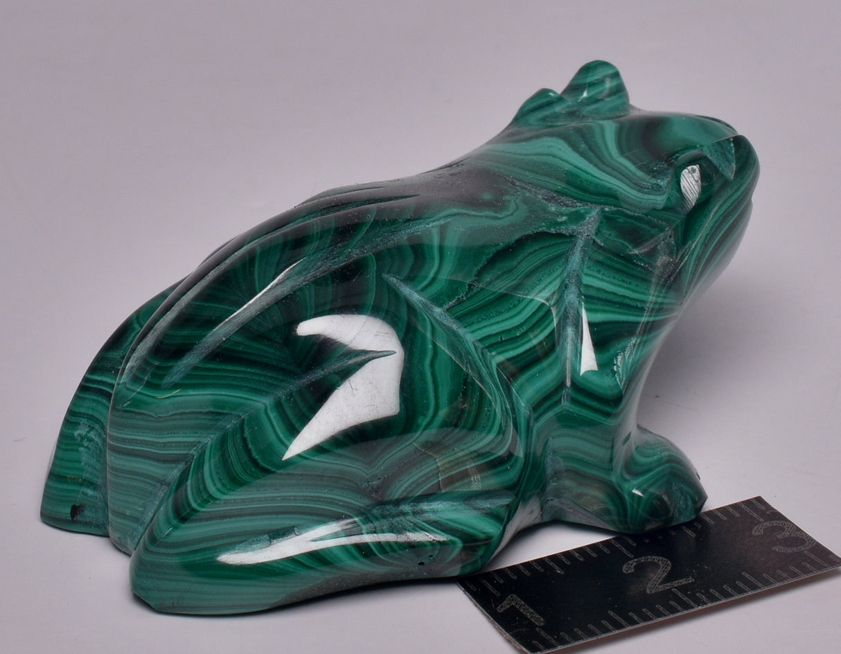 MALACHITE CRYSTAL FROG CARVING P843