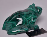 MALACHITE CRYSTAL FROG CARVING P843
