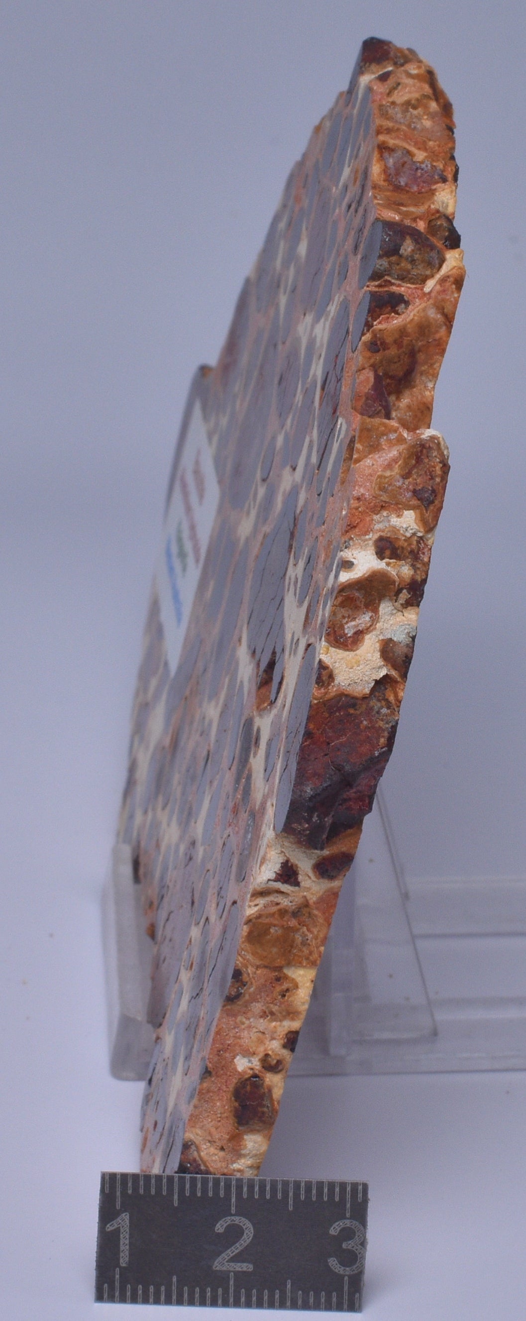 BAUXITE, Aluminium Hydroxide, Polished Slice, Kalgoorlie WA S199