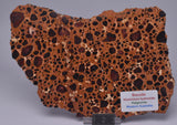 BAUXITE, Aluminium Hydroxide, Polished Slice, Kalgoorlie WA S195