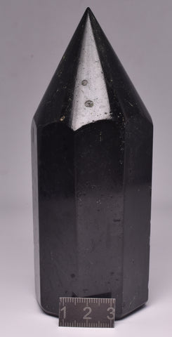 SHUNGITE TOWER/POINT 8 SIDED P1091