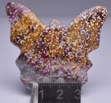 RIVER JASPER BUTTERFLY CARVING P748