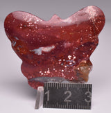 RIVER JASPER BUTTERFLY CARVING P749