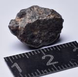 METEORITE, NORTH WEST AFRICA, CHONDRITE, NWA-MOROCCO MT68