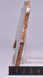 STRELLEY POOL SLICED STROMATOLITE, 3.4 byo, Australia S899