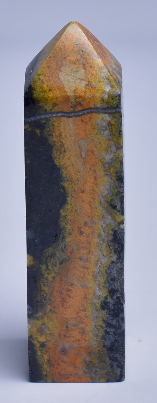 BUMBLEBEE JASPER POINT/GENERATOR P505