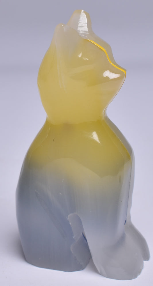 COLOURED ONYX CAT 7 CM P516