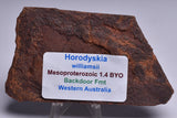HORODYSKIA Mesoproterozoic 1.4 B.Y.O, AUSTRALIAN FOSSIL S1255
