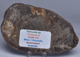 OSMUNDA SLICE, CRETACEOUS, MILES, CHINCHILLA, QUEENSLAND, AUSTRALIA S1262