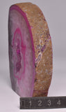 Agate, Dyed, Polished Geode Sliced from Brazil P327