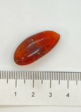 AMBER DOMINICAN REPUBLIC P602