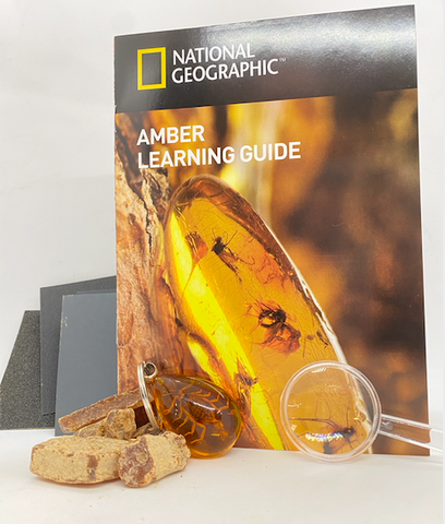 AMBER SCIENCE KIT TT139