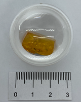 DISCOVERING AMBER PACK P805