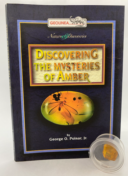 DISCOVERING AMBER PACK P805