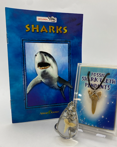 SHARK GIFT PACK P800