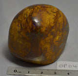 BOULDER OPAL Polished, Koroit, Queensland, Australia (OP04)