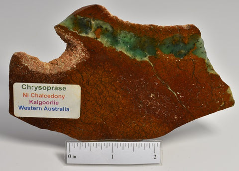 CHRYSOPRASE POLISHED SLICE CHRY00021