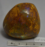 BOULDER OPAL Polished, Koroit, Queensland, Australia (OP04)